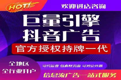 竞价广告案例分析：行业领军企业经验分享